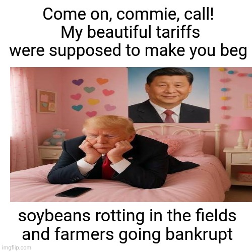 Blank Transparent Square Meme | Come on, commie, call!
 My beautiful tariffs were supposed to make you beg soybeans rotting in the fields
 and farmers going bankrupt | image tagged in memes,blank transparent square | made w/ Imgflip meme maker