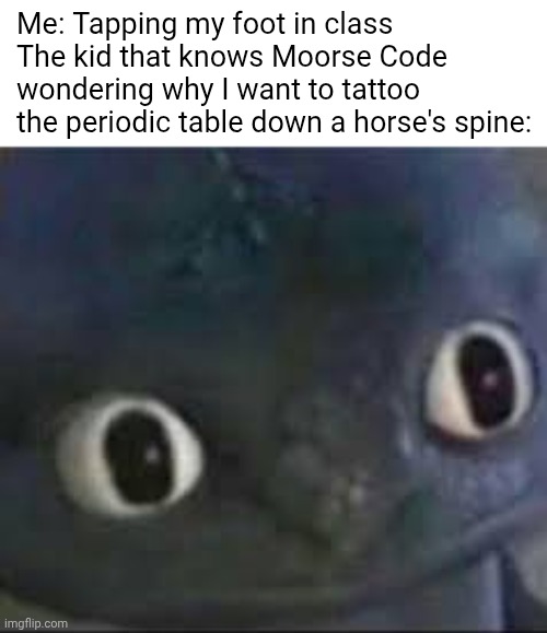 Ō___0 | Me: Tapping my foot in class
The kid that knows Moorse Code wondering why I want to tattoo the periodic table down a horse's spine: | image tagged in toothless _ face | made w/ Imgflip meme maker