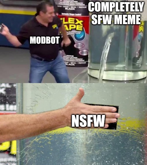 Flex Tape | COMPLETELY SFW MEME; MODBOT; NSFW | image tagged in flex tape | made w/ Imgflip meme maker