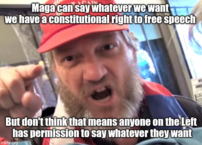 This is what fascism is about | Maga can say whatever we want 
we have a constitutional right to free speech; But don't think that means anyone on the Left

 has permission to say whatever they want | image tagged in trump,maga,fascism,we can say whatever,not you | made w/ Imgflip meme maker