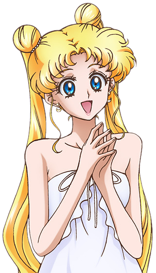Usagi Blank Meme Template