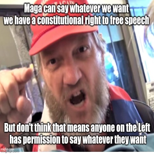 Trump and maga boiled down | image tagged in trump,maga,free speech,for me not for thee,fascism | made w/ Imgflip meme maker