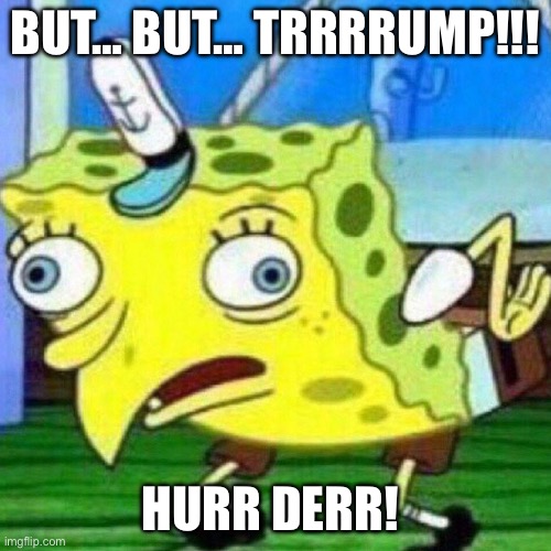 triggerpaul | BUT… BUT… TRRRRUMP!!! HURR DERR! | image tagged in triggerpaul | made w/ Imgflip meme maker