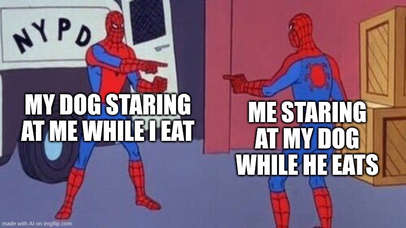 hmm | MY DOG STARING AT ME WHILE I EAT; ME STARING AT MY DOG WHILE HE EATS | image tagged in spiderman pointing at spiderman,so true | made w/ Imgflip meme maker