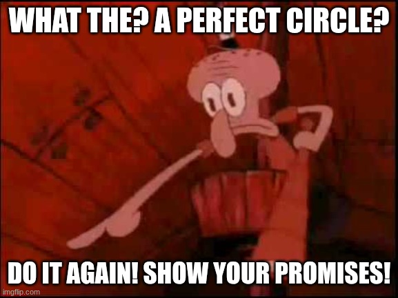 WHAT THE? A PERFECT CIRCLE? DO IT AGAIN! SHOW YOUR PROMISES! | image tagged in squidward pointing | made w/ Imgflip meme maker