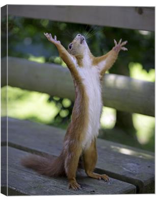 Fall is here Blank Meme Template