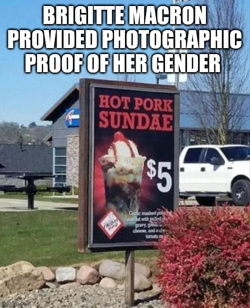 BRIGITTE MACRON PROVIDED PHOTOGRAPHIC PROOF OF HER GENDER | image tagged in funny memes | made w/ Imgflip meme maker