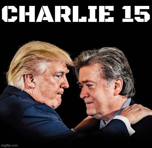 CHARLIE 15 | CHARLIE 15 | image tagged in steve bannon | made w/ Imgflip meme maker