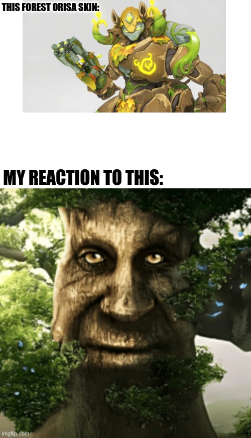 forest orisa skin | THIS FOREST ORISA SKIN:; MY REACTION TO THIS: | image tagged in why | made w/ Imgflip meme maker