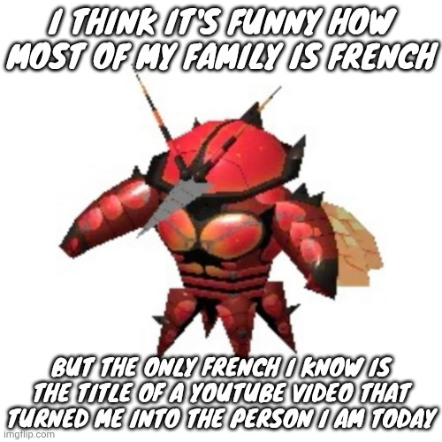 Rumble buzzwole | I THINK IT'S FUNNY HOW MOST OF MY FAMILY IS FRENCH; BUT THE ONLY FRENCH I KNOW IS THE TITLE OF A YOUTUBE VIDEO THAT TURNED ME INTO THE PERSON I AM TODAY | image tagged in rumble buzzwole | made w/ Imgflip meme maker