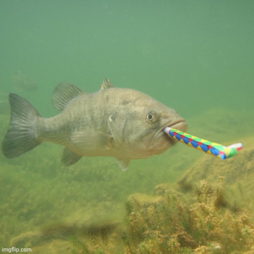 Pop goes the weasel but instead of popping the weasel drowns | image tagged in happy birthday fish | made w/ Imgflip meme maker