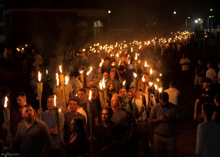 White Nationalist Polynesian Tiki Torches | image tagged in white nationalist polynesian tiki torches | made w/ Imgflip meme maker