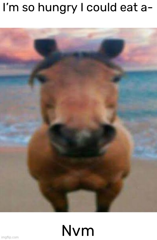 Evil Horse | I’m so hungry I could eat a-; Nvm | image tagged in evil horse | made w/ Imgflip meme maker