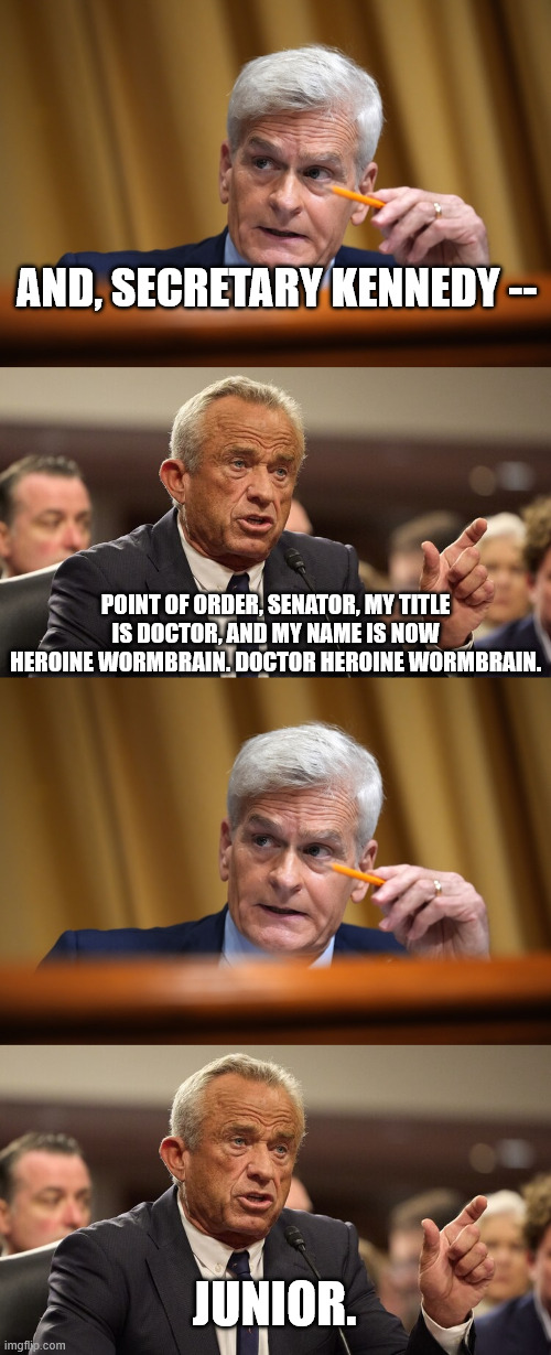 AND, SECRETARY KENNEDY --; POINT OF ORDER, SENATOR, MY TITLE IS DOCTOR, AND MY NAME IS NOW HEROINE WORMBRAIN. DOCTOR HEROINE WORMBRAIN. JUNIOR. | made w/ Imgflip meme maker