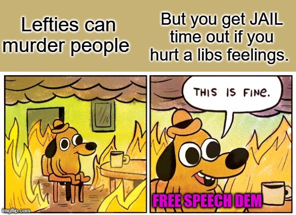 But they're sensitive and loving & caring. | But you get JAIL time out if you hurt a libs feelings. Lefties can murder people; FREE SPEECH DEM | image tagged in memes,this is fine | made w/ Imgflip meme maker