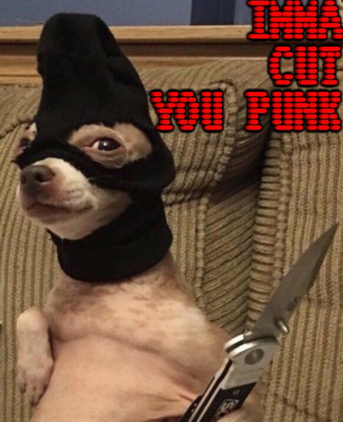 Imma Cut You | IMMA CUT YOU PUNK | image tagged in cutting,criminal,dogs,funny dog memes,punk,threat | made w/ Imgflip meme maker