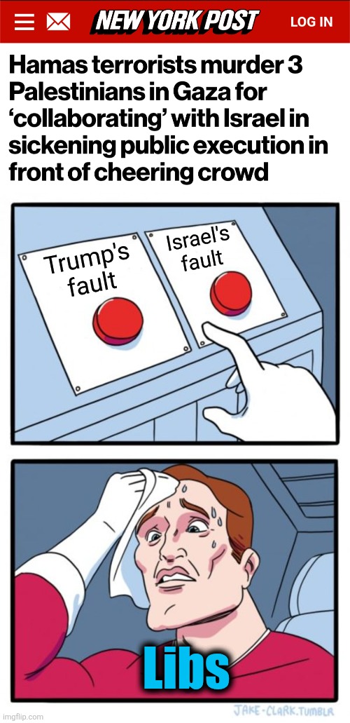 Because for libs, the savage Hamas terrorist barbarians are NEVER at fault | Israel's
fault; Trump's
fault; Libs | image tagged in memes,two buttons,israel,hamas,democrats,gaza | made w/ Imgflip meme maker