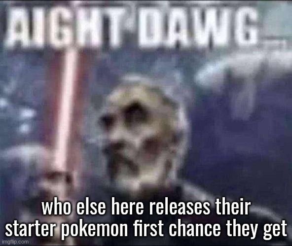 ​ | who else here releases their starter pokemon first chance they get | image tagged in aight dawg | made w/ Imgflip meme maker