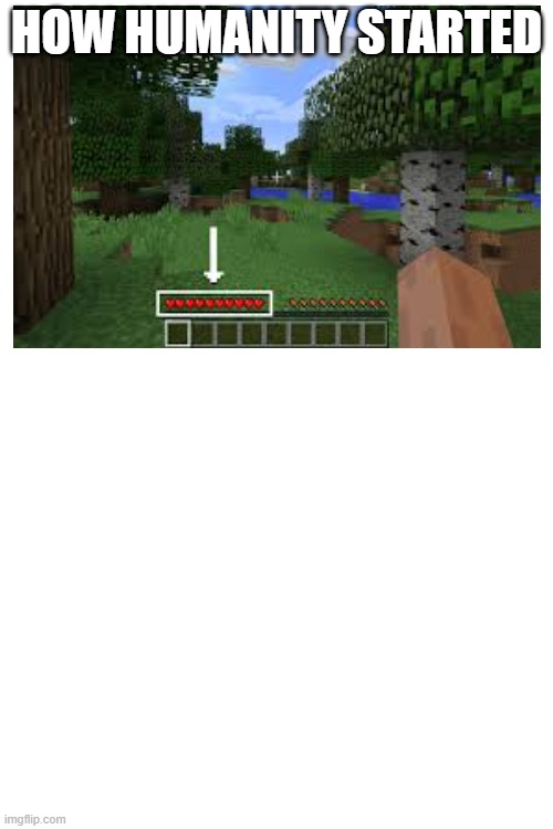 HOW HUMANITY STARTED | image tagged in minecraft memes | made w/ Imgflip meme maker