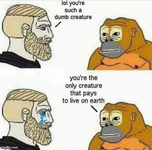 True, sad and funny | image tagged in humans,animals,memes,climbing,latticeclimbing,fun | made w/ Imgflip meme maker