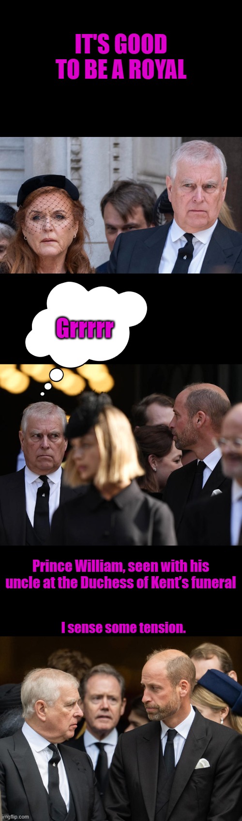 High class people. Part of The Club. | IT'S GOOD TO BE A ROYAL; Grrrrr; Prince William, seen with his uncle at the Duchess of Kent’s funeral; I sense some tension. | made w/ Imgflip meme maker