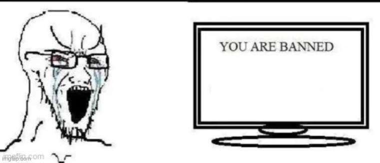 You are banned | image tagged in you are banned | made w/ Imgflip meme maker