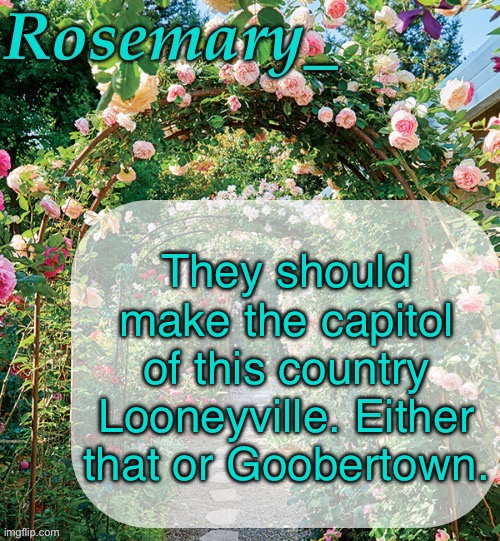 Rosemary_ template | They should make the capitol of this country Looneyville. Either that or Goobertown. | image tagged in rosemary_ template | made w/ Imgflip meme maker