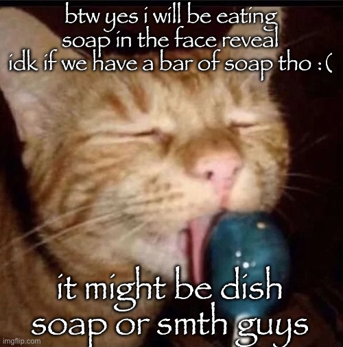 I would like to say i have eaten dish soap and it does taste metallic in a good way | btw yes i will be eating soap in the face reveal
idk if we have a bar of soap tho :(; it might be dish soap or smth guys | image tagged in silly goober 2 | made w/ Imgflip meme maker
