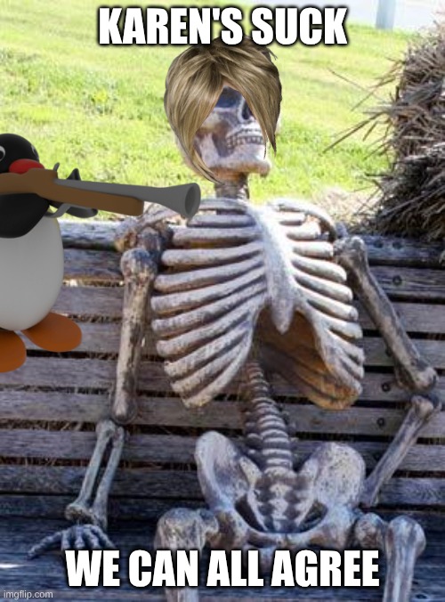 Waiting Skeleton | KAREN'S SUCK; WE CAN ALL AGREE | image tagged in memes,waiting skeleton | made w/ Imgflip meme maker
