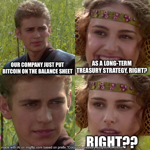 Treasury adoption of BTC | OUR COMPANY JUST PUT BITCOIN ON THE BALANCE SHEET; AS A LONG-TERM TREASURY STRATEGY, RIGHT? RIGHT?? | image tagged in anakin padme 4 panel | made w/ Imgflip meme maker
