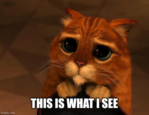 puss in boots eyes | THIS IS WHAT I SEE | image tagged in puss in boots eyes | made w/ Imgflip meme maker