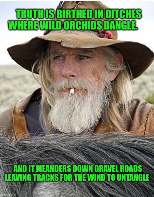 TRUTH IS BIRTHED IN DITCHES WHERE WILD ORCHIDS DANGLE. AND IT MEANDERS DOWN GRAVEL ROADS LEAVING TRACKS FOR THE WIND TO UNTANGLE | image tagged in cowboy | made w/ Imgflip meme maker