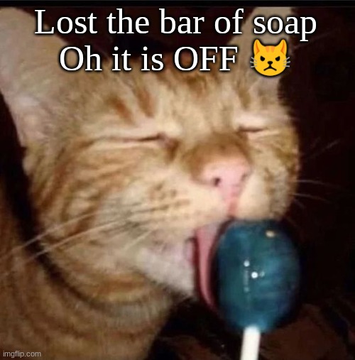 silly goober 2 | Lost the bar of soap
Oh it is OFF 😾 | image tagged in silly goober 2 | made w/ Imgflip meme maker