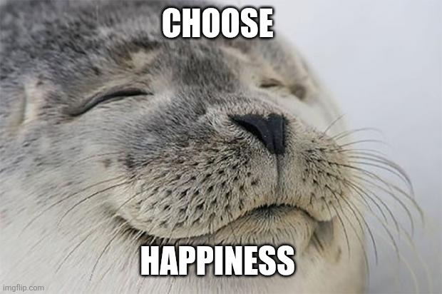 Be Happy | CHOOSE; HAPPINESS | image tagged in memes,satisfied seal,funny memes | made w/ Imgflip meme maker