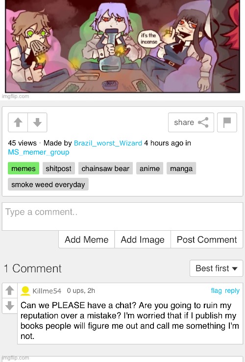 Dawn is Making a book, flame her | image tagged in memes,shitpost,burn the witch,behead the heretic,suffer no the zoophile to live | made w/ Imgflip meme maker