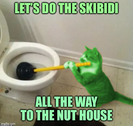 RayCat's toilet | LET’S DO THE SKIBIDI ALL THE WAY TO THE NUT HOUSE | image tagged in raycat's toilet | made w/ Imgflip meme maker