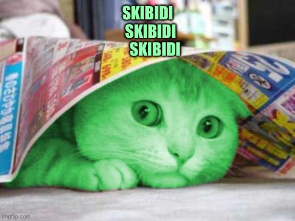 RayCat Scared | SKIBIDI
  SKIBIDI
     SKIBIDI | image tagged in raycat scared | made w/ Imgflip meme maker