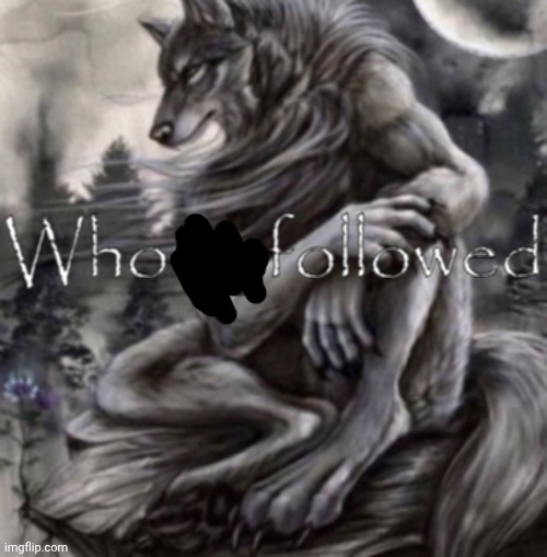 Who followed | image tagged in who unfollowed | made w/ Imgflip meme maker