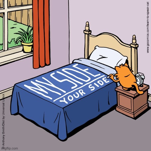 He thinks he’s being generous… | image tagged in cats,comics,learn to speak cat,bed,my side,your side | made w/ Imgflip meme maker