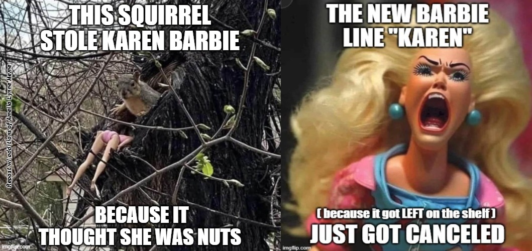 THIS SQUIRREL STOLE KAREN BARBIE; Repost w/ additions of Amelia Lynne Meme; BECAUSE IT THOUGHT SHE WAS NUTS | made w/ Imgflip meme maker