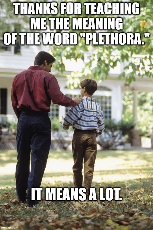 Father - Son Moment | THANKS FOR TEACHING ME THE MEANING OF THE WORD "PLETHORA."; IT MEANS A LOT. | image tagged in dad and son,dad joke,fun,humor,play on words | made w/ Imgflip meme maker