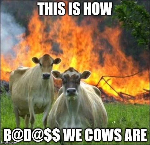 Evil Cows Meme | THIS IS HOW B@D@$$ WE COWS ARE | image tagged in memes,evil cows | made w/ Imgflip meme maker