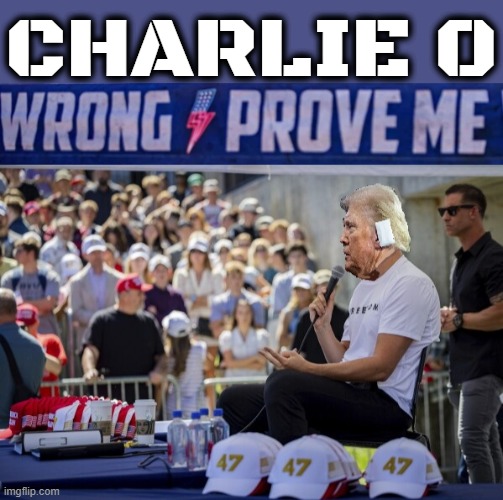 CHARLIE 0 | CHARLIE 0 | image tagged in trump,prove me wrong,hate speech,maga,right wing,lgbtq | made w/ Imgflip meme maker