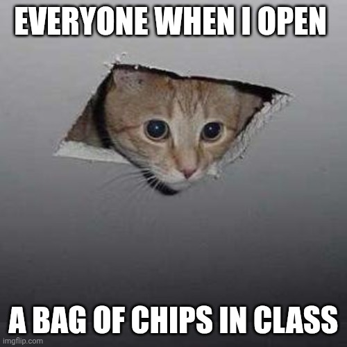Mine | EVERYONE WHEN I OPEN; A BAG OF CHIPS IN CLASS | image tagged in memes,ceiling cat,chips,school,repost | made w/ Imgflip meme maker