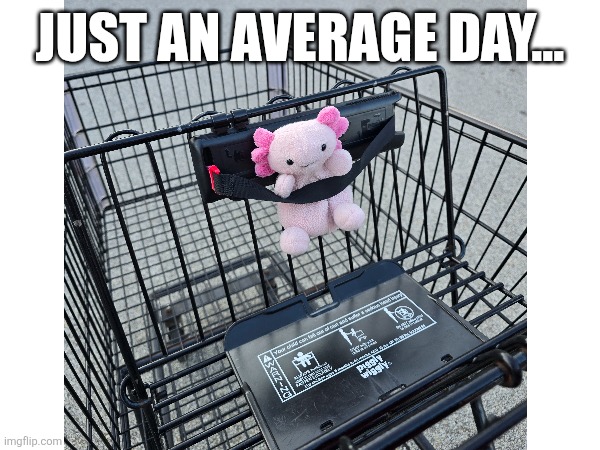 Shopping | JUST AN AVERAGE DAY... | image tagged in stuffed animal | made w/ Imgflip meme maker