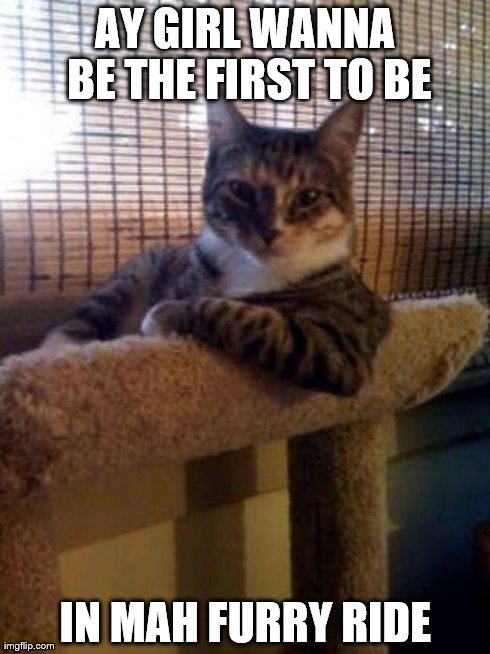 The Most Interesting Cat In The World | AY GIRL WANNA BE THE FIRST TO BE IN MAH FURRY RIDE | image tagged in memes,the most interesting cat in the world | made w/ Imgflip meme maker