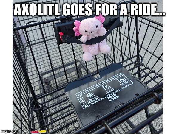 Shopin with axtolitl | AXOLITL GOES FOR A RIDE... | image tagged in stuffed animal,grocery store,funny memes | made w/ Imgflip meme maker