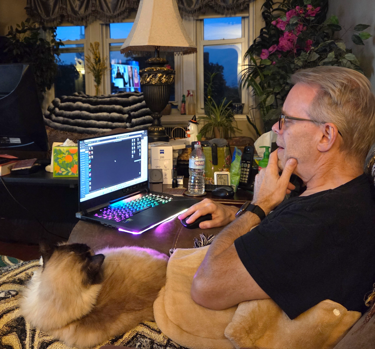 Cat supervisor Blank Meme Template