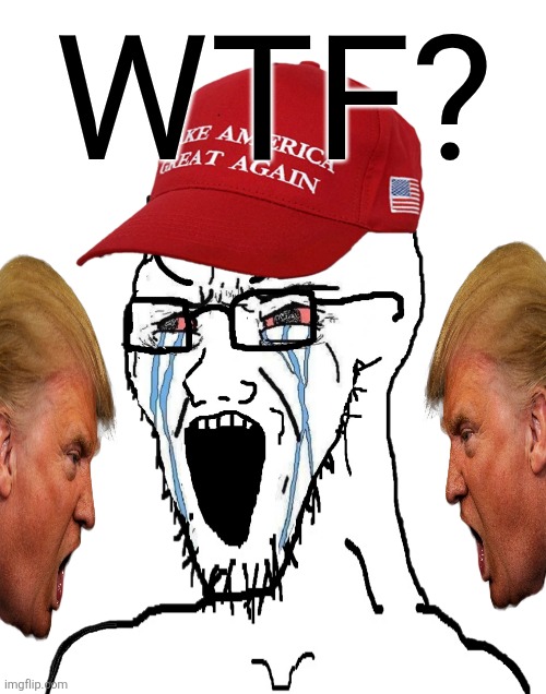 Crying MAGA wojak | WTF? | image tagged in crying maga wojak | made w/ Imgflip meme maker