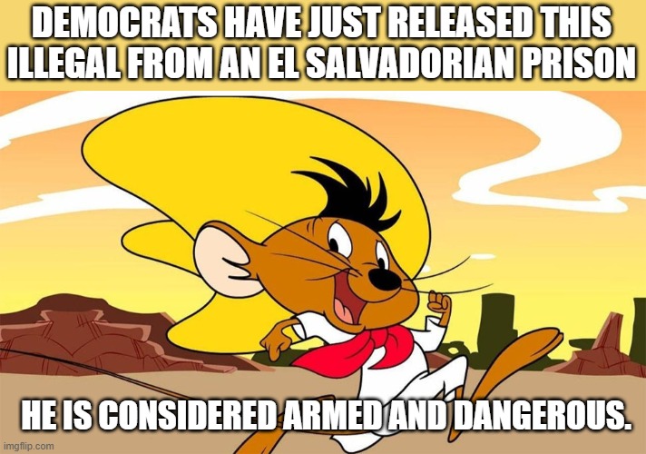 Poor Speedy LOL!! | DEMOCRATS HAVE JUST RELEASED THIS ILLEGAL FROM AN EL SALVADORIAN PRISON; HE IS CONSIDERED ARMED AND DANGEROUS. | image tagged in speedy gonzales,democrats,illegal aliens,lol | made w/ Imgflip meme maker